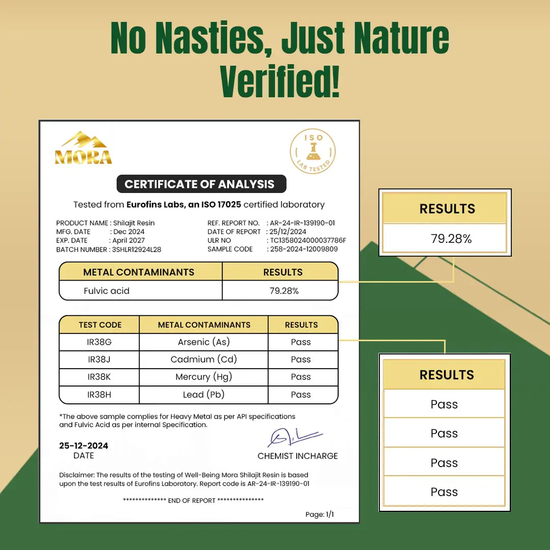 Himalayan Pure Shilajit Resin (30g) - Well being mora Buy | Pure Himalayan Shilajit & Herbal Supplements Online