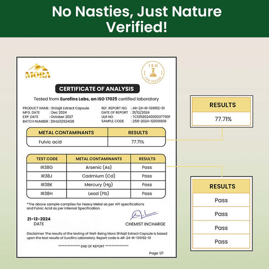 Mora Pure Himalayan Shilajit Extract Capsules – 15000mg - Well being mora Buy | Pure Himalayan Shilajit & Herbal Supplements Online