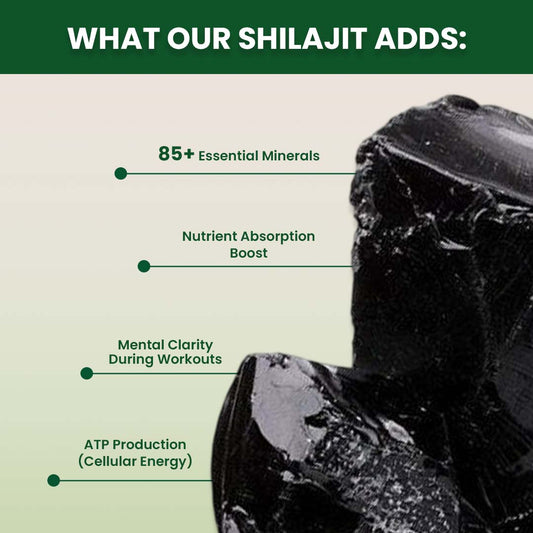 Mora Pure Himalayan Shilajit Resin – 30g