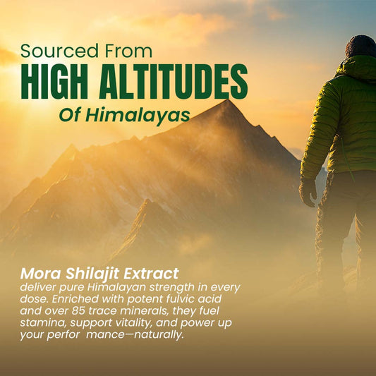 Shilajit Extract Capsules (15000mg)