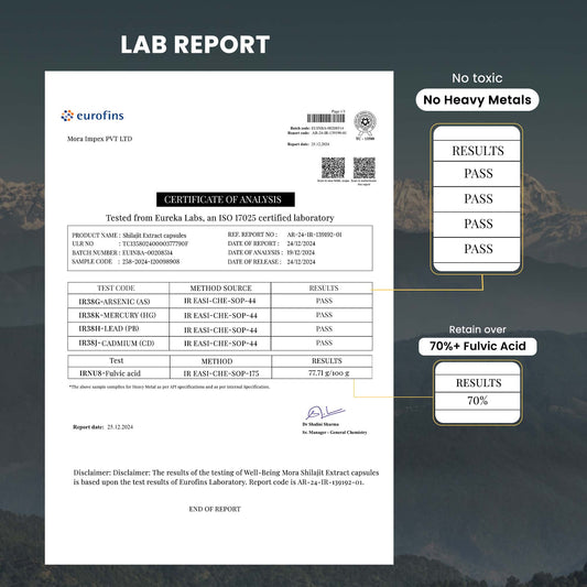 Shilajit Extract Capsules with 15:1 Pure Himalayan Extract, Lab Tested