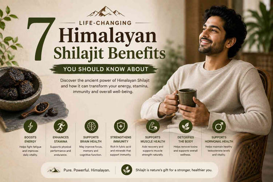 7 Life-Changing Himalayan Shilajit Benefits You Should Know About WellBeingMora Buy | Pure Beetroot, Turmeric Capsules & Herbal Supplements Online