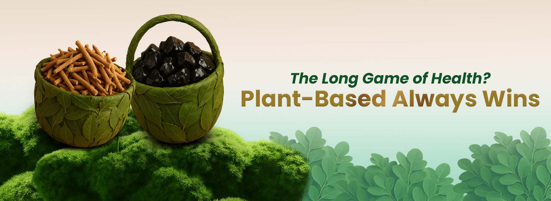 Leaf baskets with herbal supplements, Himalayan shilajit, and ashwagandha sticks, plant-based wellness