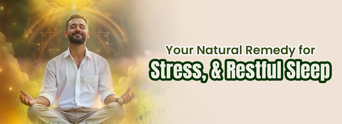 Man meditating outdoors in sunlight, text promoting natural supplements for stress and restful sleep