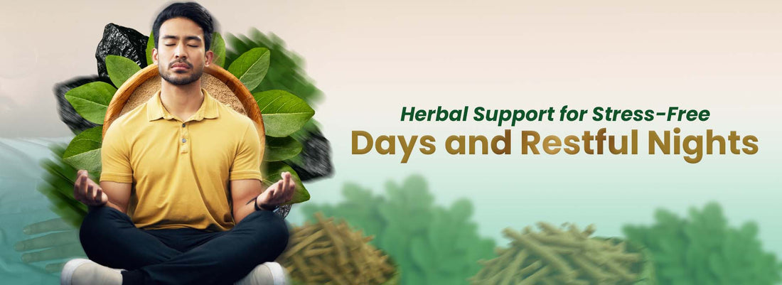 Man meditating surrounded by Himalayan herbs, leafy greens, and supplement powders for natural stress relief