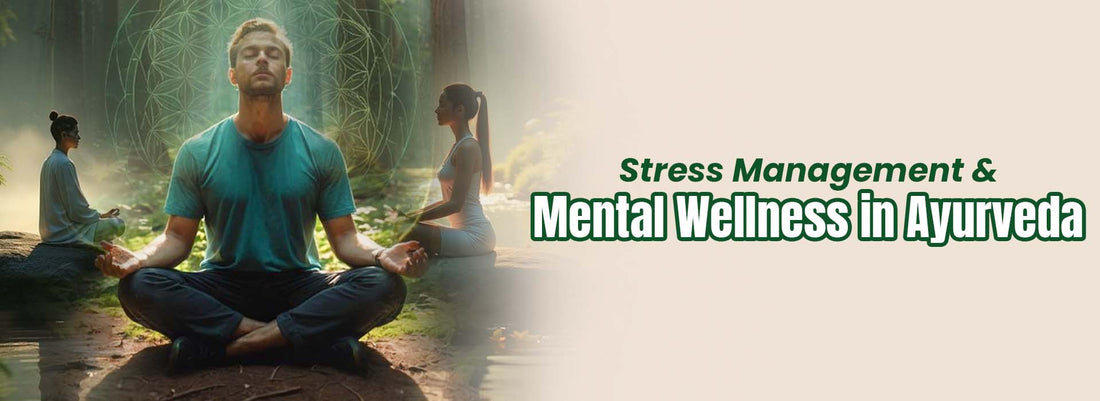 People meditating outdoors in nature, promoting Ayurvedic stress management and mental wellness