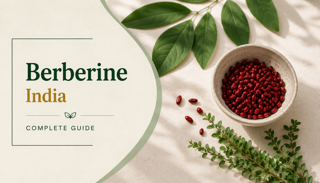 Berberine India - Complete Guide 2026: Blood Sugar, Cholesterol & Metabolic Health