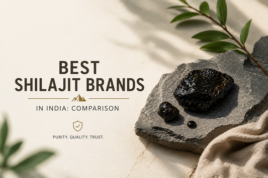 Best Shilajit Brands in India - How to Actually Compare Them (2026)