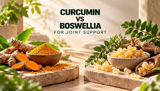 Curcumin vs boswellia for joint support, featuring turmeric roots and powder on one side and boswellia resin on the other.
