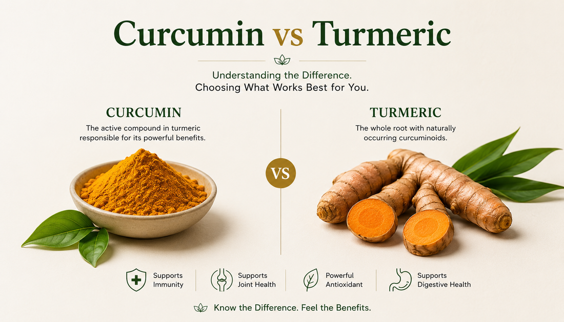 Curcumin vs Turmeric - Are They the Same Thing?