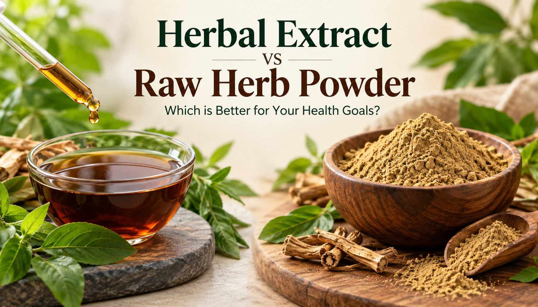 Herbal extract versus raw herb powder, showing liquid herbal extract and powdered herbs for comparing preparation methods and health goals.