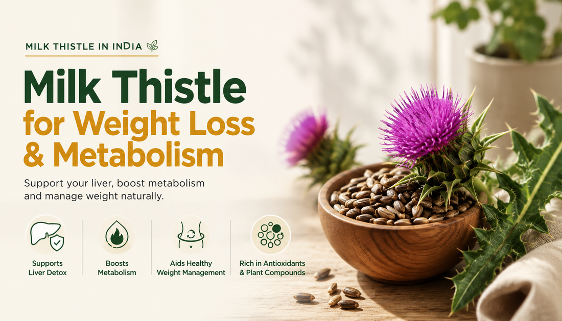 Milk Thistle for Weight Loss and Metabolism India - What the Research Actually Shows