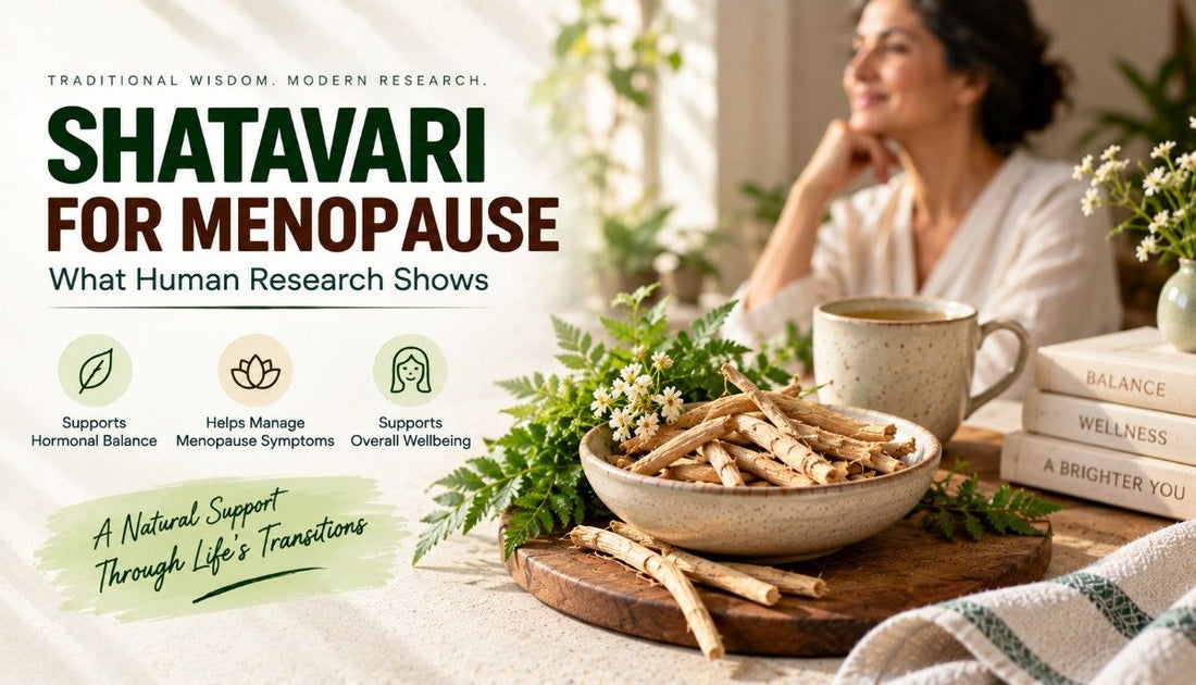 Shatavari for Menopause
