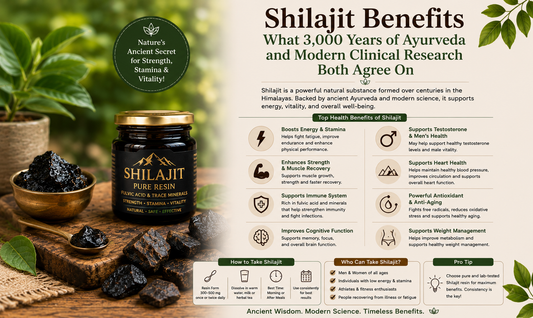 Shilajit Ke Fayde - What 3,000 Years of Ayurveda and Modern Clinical Research Both Agree On
