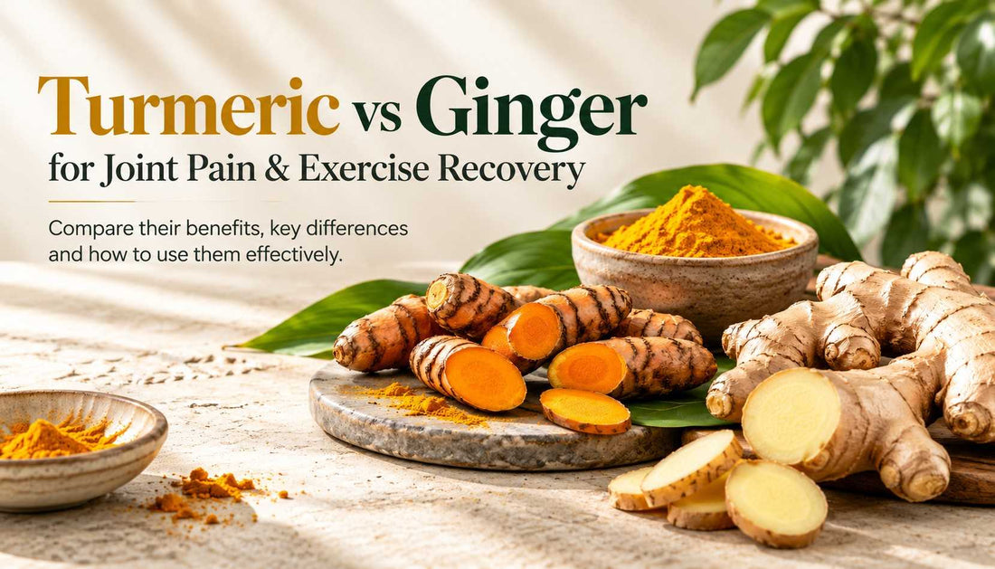 Turmeric vs ginger for joint pain and exercise recovery, featuring fresh turmeric roots, ginger slices, and turmeric powder in a natural food setting.
