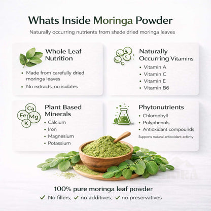 Moringa powder benefits infographic with a bowl of green powder and moringa leaves, highlighting vitamins, minerals, and phytonutrients.