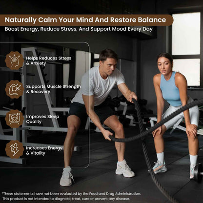 Gym Performance Stack