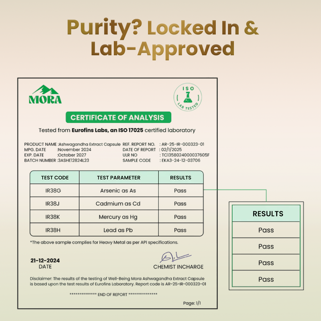 Ashwagandha Extract - Well being mora Buy | Pure Himalayan Shilajit & Herbal Supplements Online