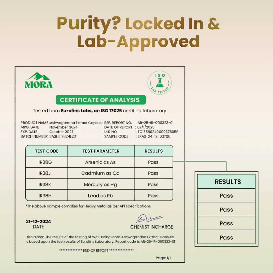 Ashwagandha Extract - Well being mora Buy | Pure Himalayan Shilajit & Herbal Supplements Online