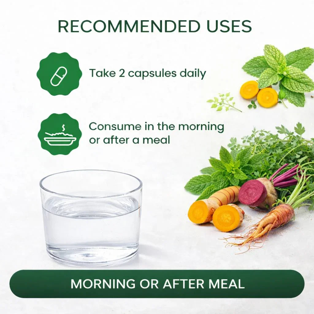 Herbal supplement usage infographic with glass of water, fresh roots, mint, and dose instructions.