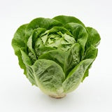 Folate (Active B9)