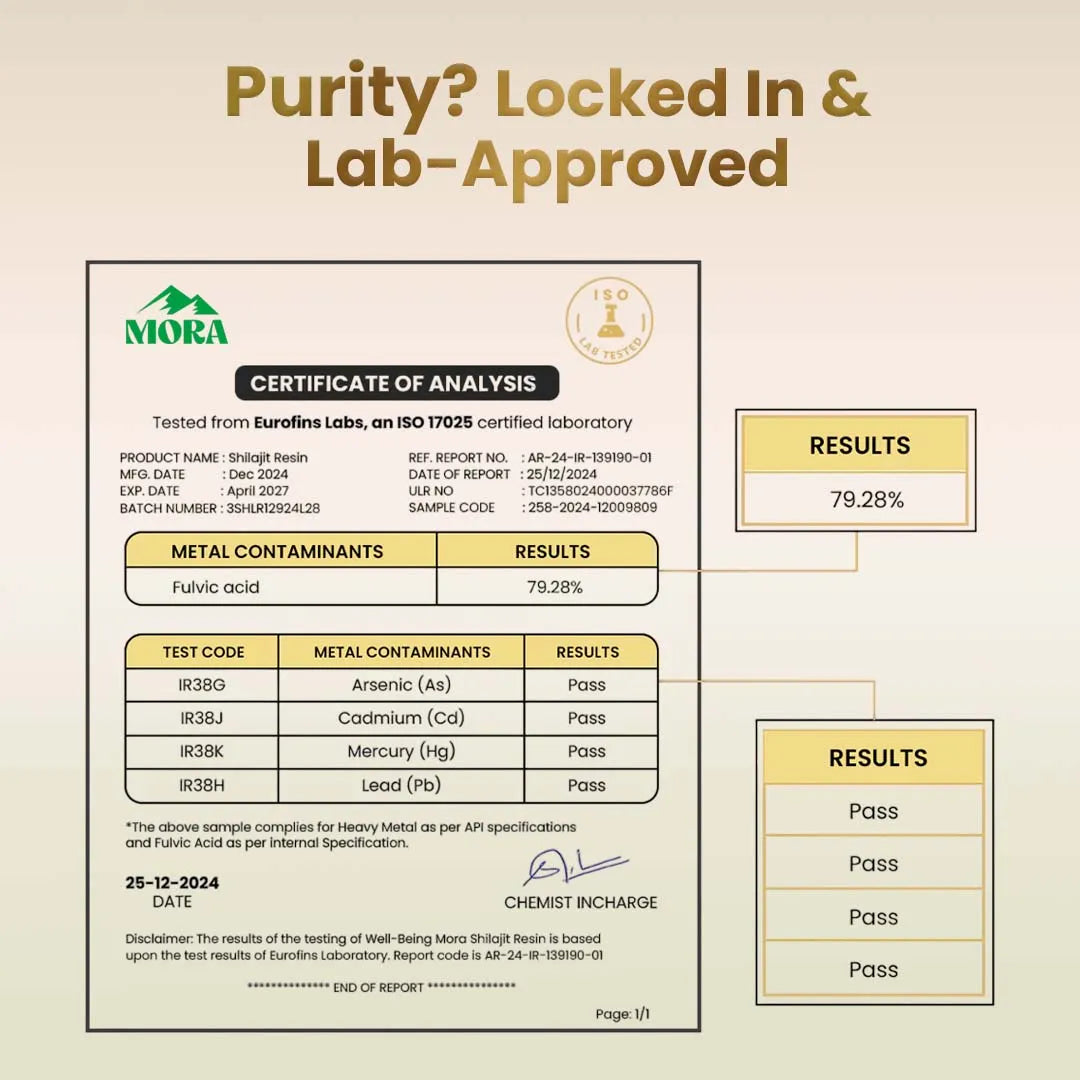 Himalayan Pure Shilajit Resin 30g - Well being mora Buy | Pure Himalayan Shilajit & Herbal Supplements Online