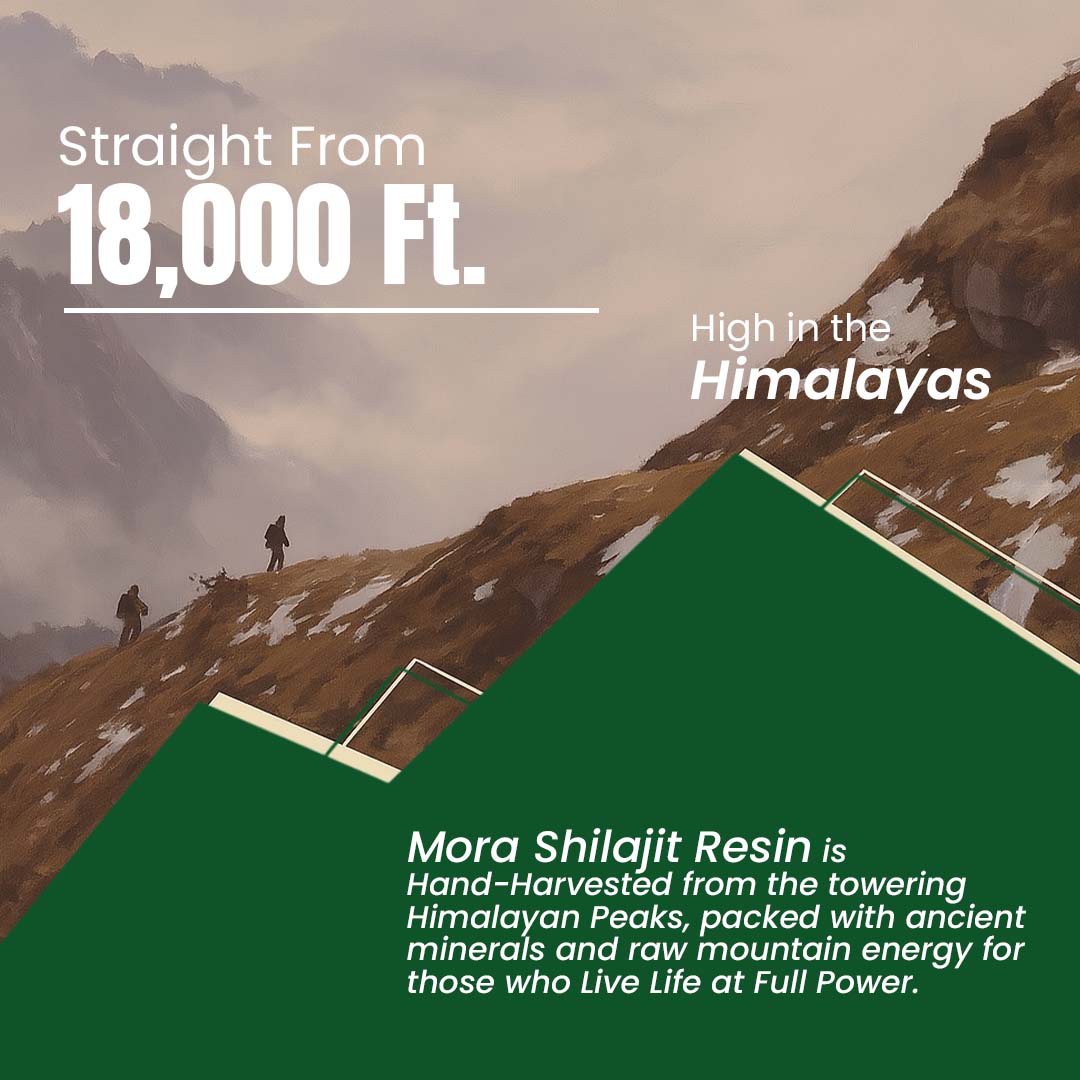 Himalayan Pure Shilajit Resin (30g) - Well being mora Buy | Pure Himalayan Shilajit & Herbal Supplements Online
