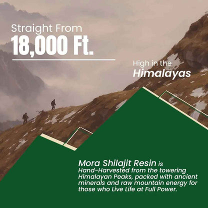 Himalayan Pure Shilajit Resin (30g)