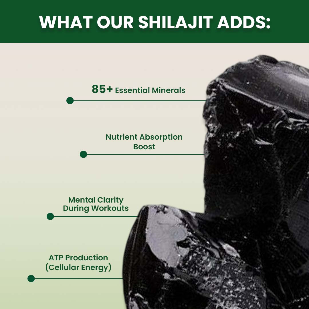Mora Pure Himalayan Shilajit Resin – 30g - Well being mora Buy | Pure Himalayan Shilajit & Herbal Supplements Online