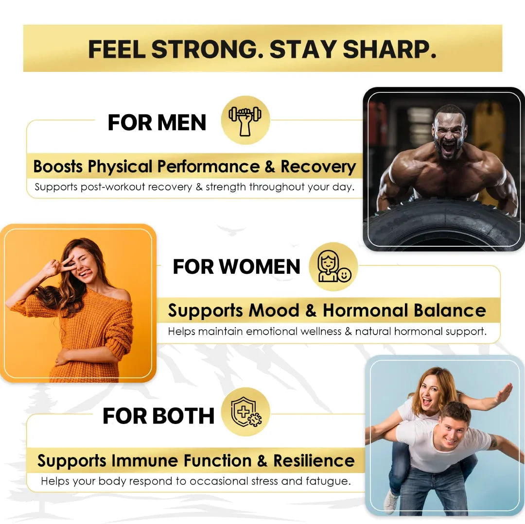 Shilajit & Ashwagandha Capsules - Well being mora Buy | Pure Himalayan Shilajit & Herbal Supplements Online