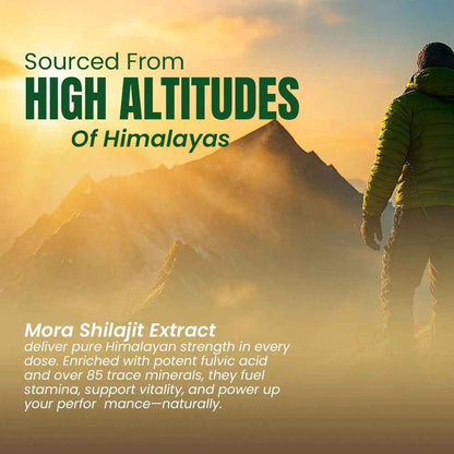 Shilajit Extract Capsules (15000mg)