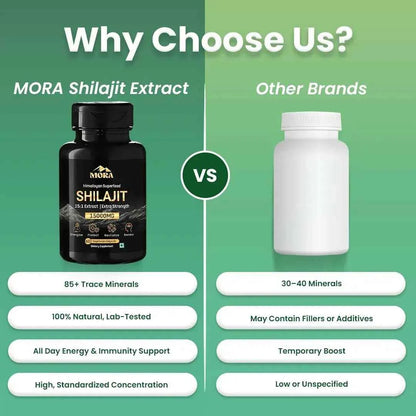Shilajit Extract Capsules