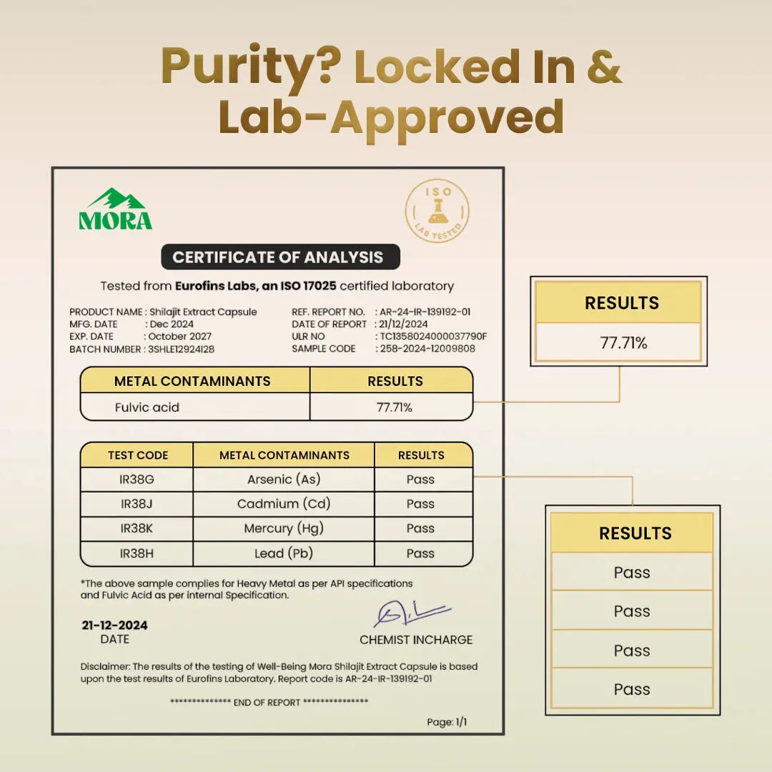 Shilajit Extract Capsules - Well being mora Buy | Pure Himalayan Shilajit & Herbal Supplements Online