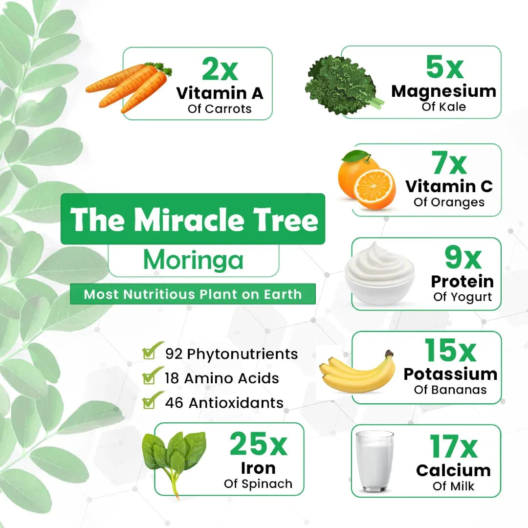 Shilajit & Moringa Extract - Well being mora Buy | Pure Himalayan Shilajit & Herbal Supplements Online