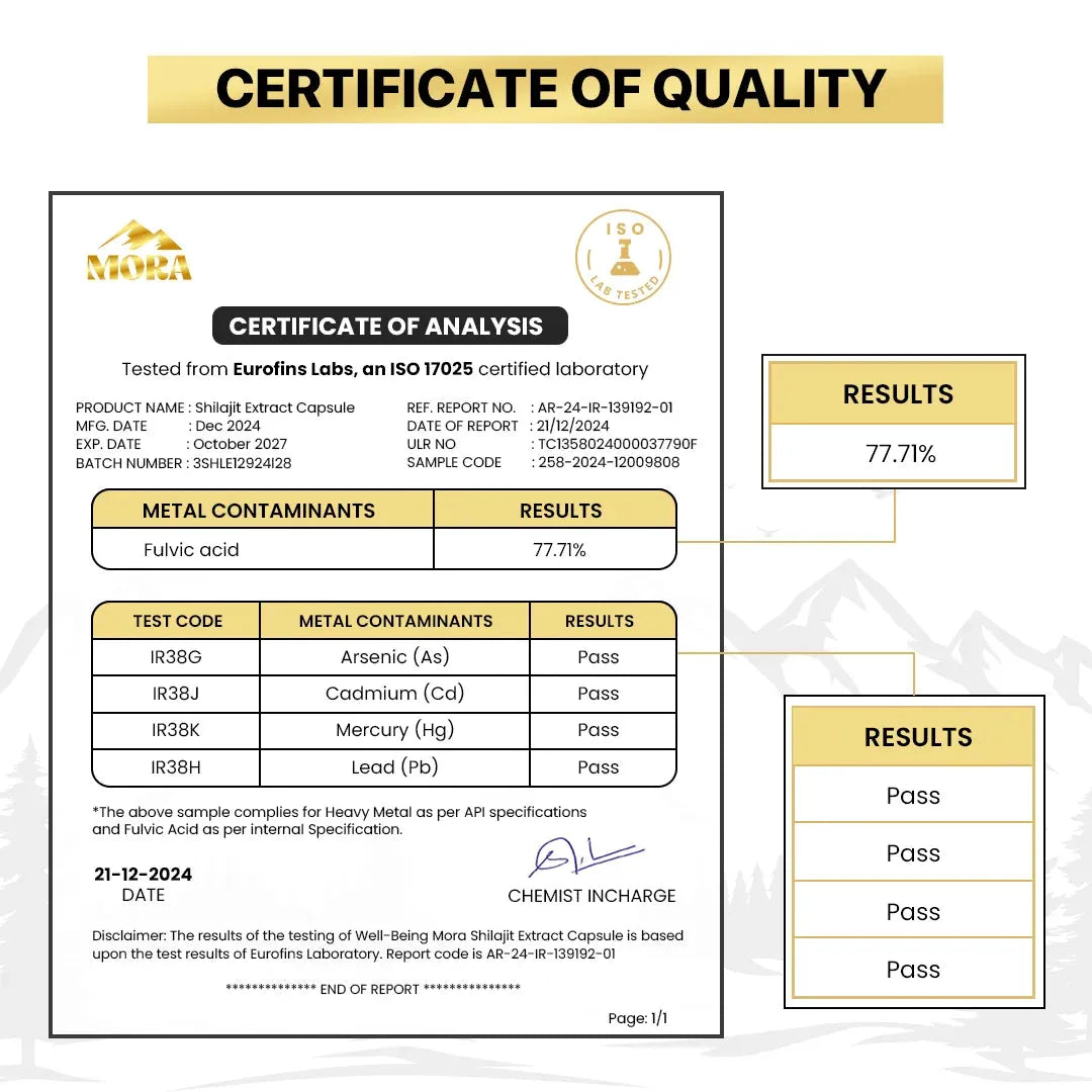 Shilajit Resin & Capsules - Well being mora Buy | Pure Himalayan Shilajit & Herbal Supplements Online