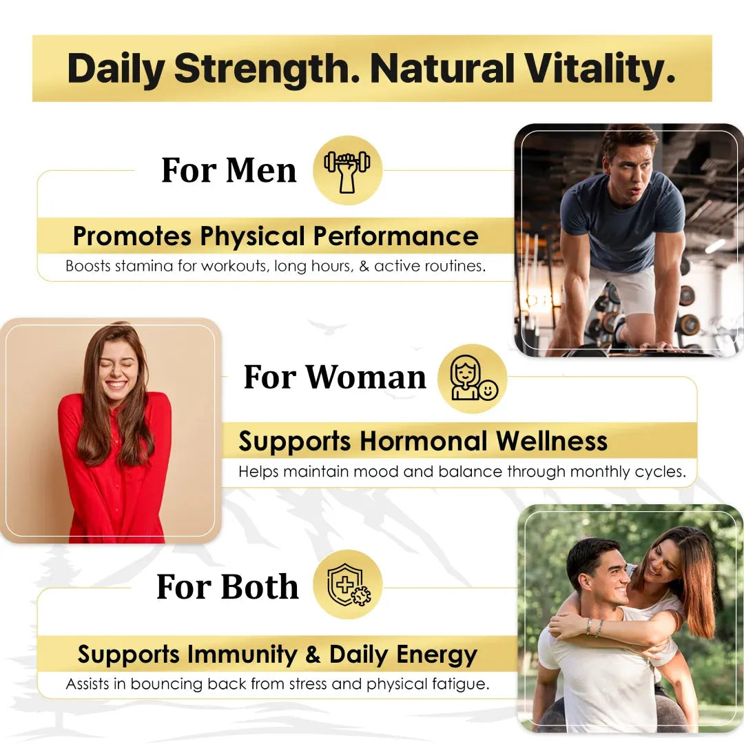 Shilajit Resin & Capsules - Well being mora Buy | Pure Himalayan Shilajit & Herbal Supplements Online