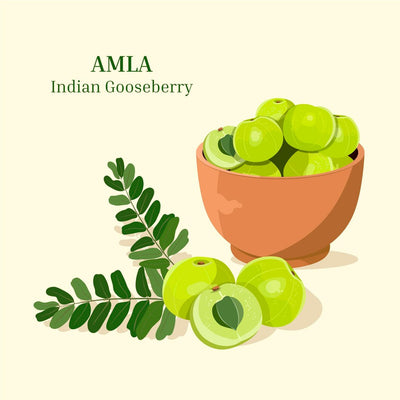 Indian Gooseberry (Amla)