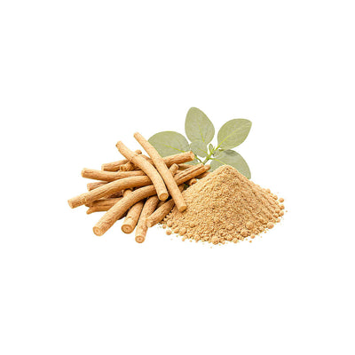 Ashwagandha Root Extract