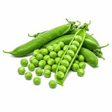 Vitamin B1 (Thiamine)