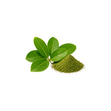 Banaba leaf