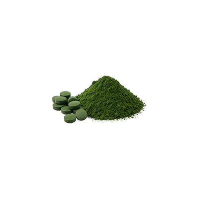 Chlorella 
