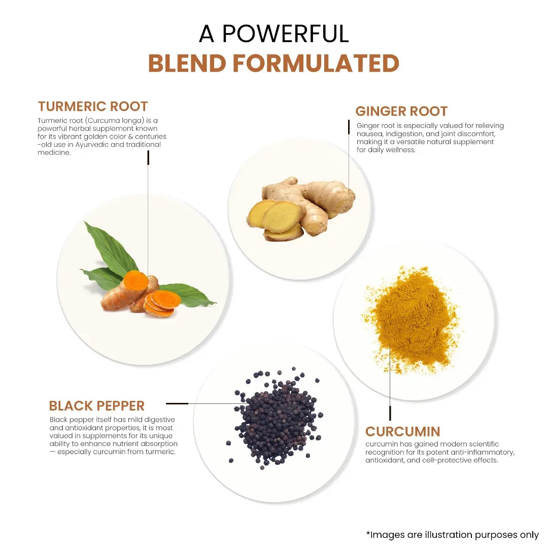 Turmeric root, ginger root, black pepper, and curcumin blend ingredients for herbal supplements