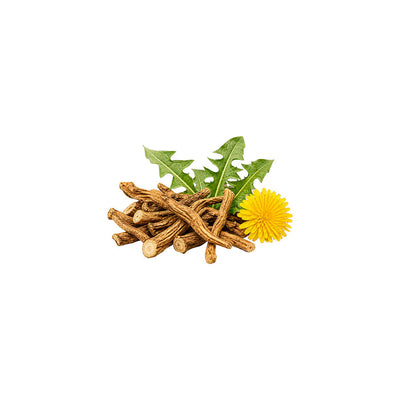 Dandelion
