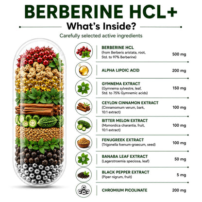 Berberine HCl Capsules with Alpha Lipoic Acid – 8-in-1 Blood Sugar & Metabolism Support