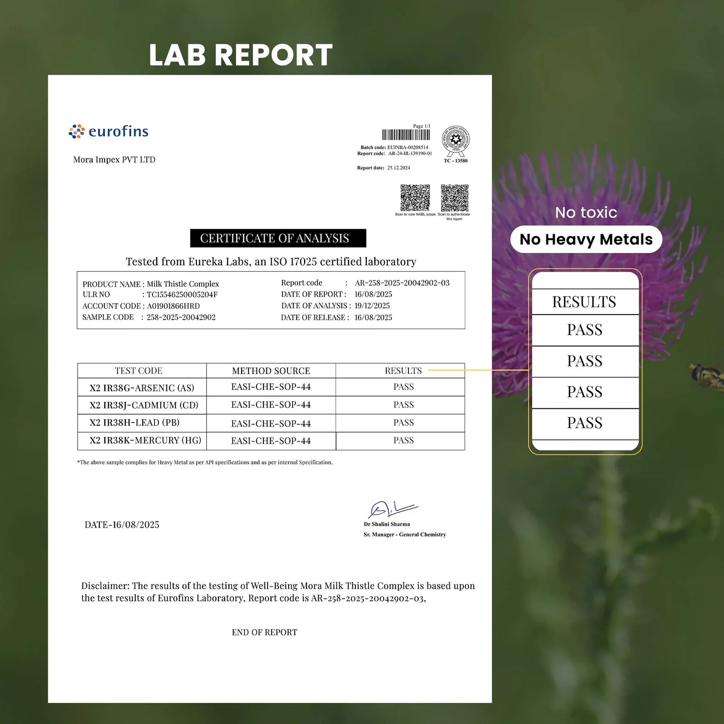 Milk thistle lab report showing no heavy metals, with certificate of analysis and pass results.