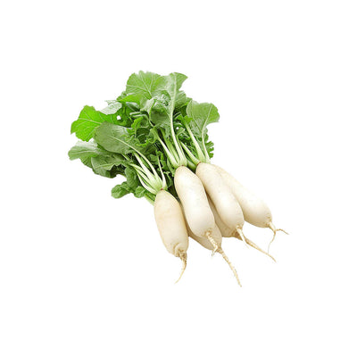 Radish Root