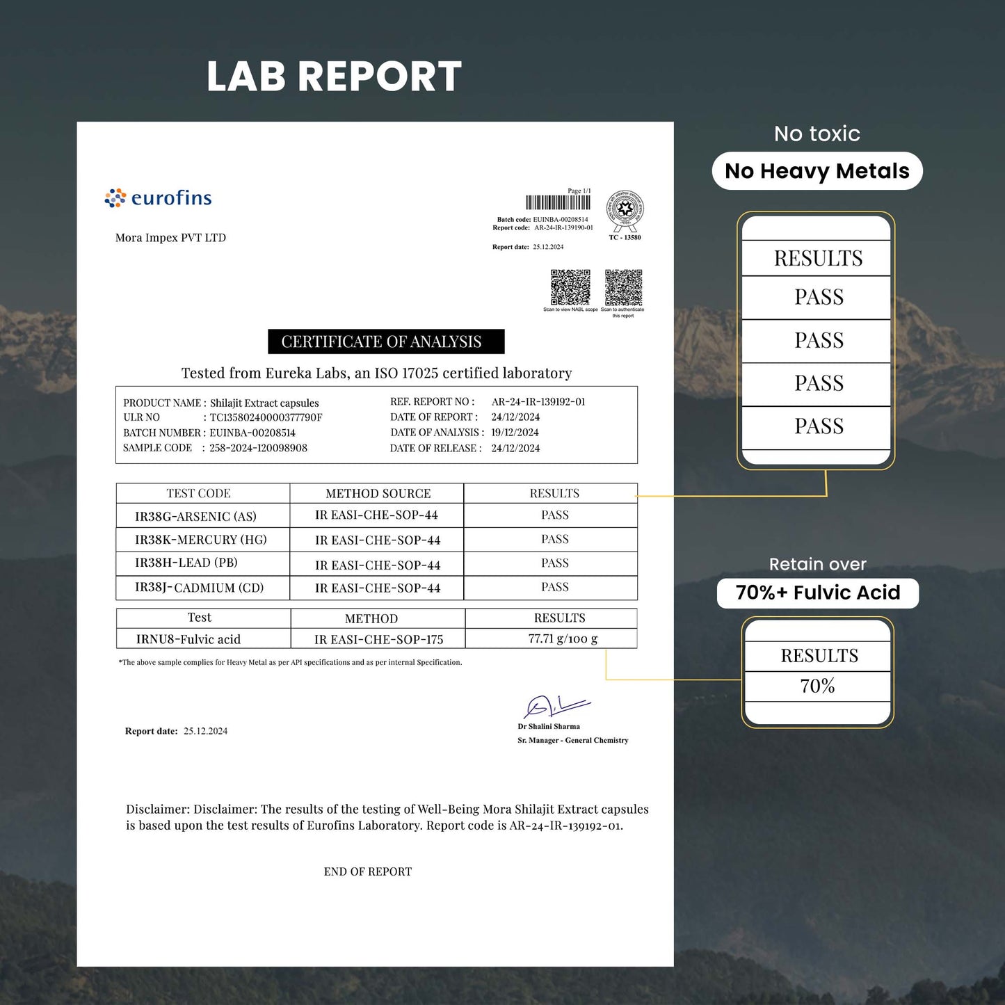 Shilajit Resin & Shilajit Extract Capsules