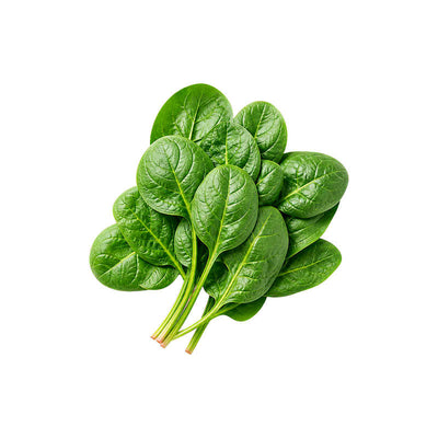 Spinach Leaf