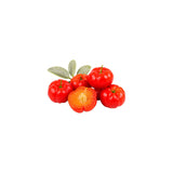 Vitamin C (Acerola)